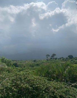 Rainy season